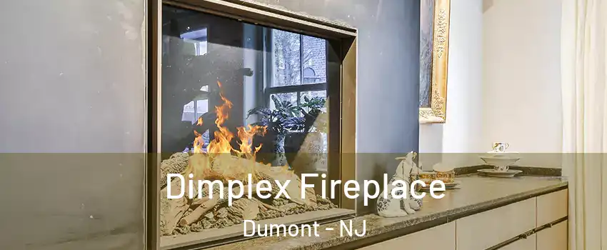  Dimplex Fireplace Dumont - NJ