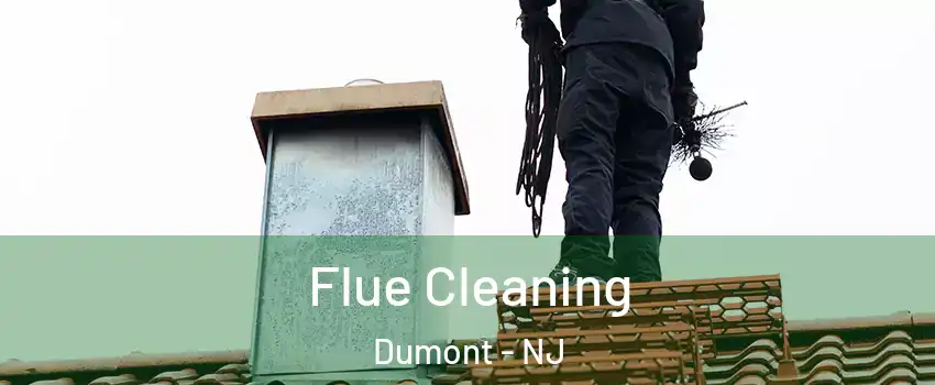  Flue Cleaning Dumont - NJ
